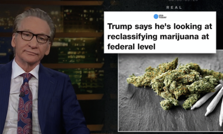 Bill Maher ha bromeado a Trump para apoyar la marihuana Bill Maher ha bromeado a Trump para apoyar la marihuana