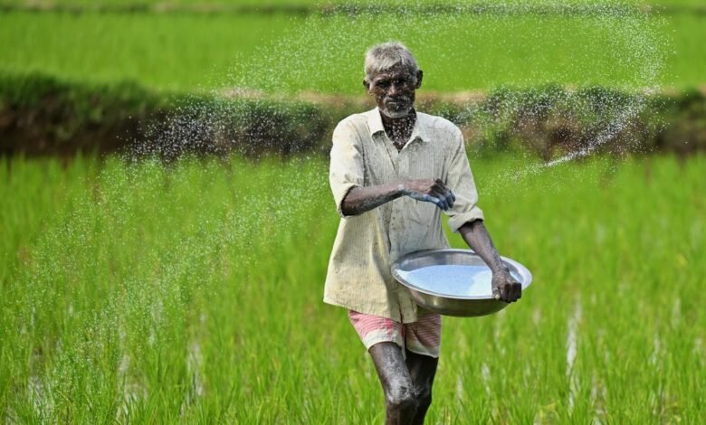 India se apresuró a importar urea según sea necesario.