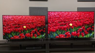 Probé los televisores OLED más baratos de Samsung y LG de lado a lado para ver qué televisión sale en la cima, esto es lo que sucedió