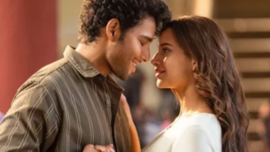 Dhadak 2 Box Office Day 4: La película de Siddhanta Chaturvedi-Tripti Dimri vio una inmersión, ganar Rs …