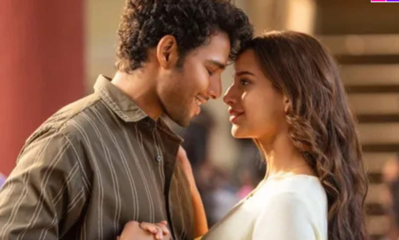 Dhadak 2 Box Office Day 4: La película de Siddhanta Chaturvedi-Tripti Dimri vio una inmersión, ganar Rs …