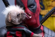 Los 6 perros de superhéroes más lindos y más geniales de los cómics, krypto incluidos