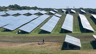 Los republicanos presionaron a Trump para recuperar fondos para las energías renovables