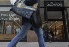 Los ingresos de Allbirds disminuyeron, pero dijeron que hay planes.