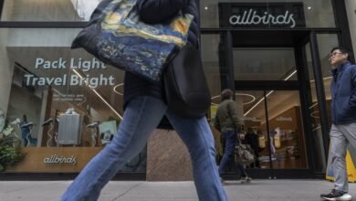 Los ingresos de Allbirds disminuyeron, pero dijeron que hay planes.