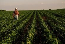 Estados Unidos en el campo está experimentando una crisis económica.
