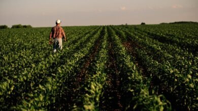 Estados Unidos en el campo está experimentando una crisis económica.