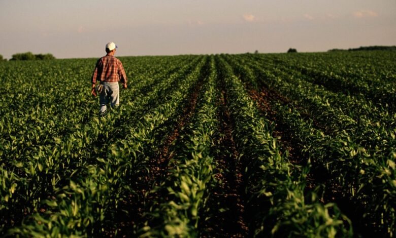 Estados Unidos en el campo está experimentando una crisis económica. Estados Unidos en el campo está experimentando una crisis económica.
