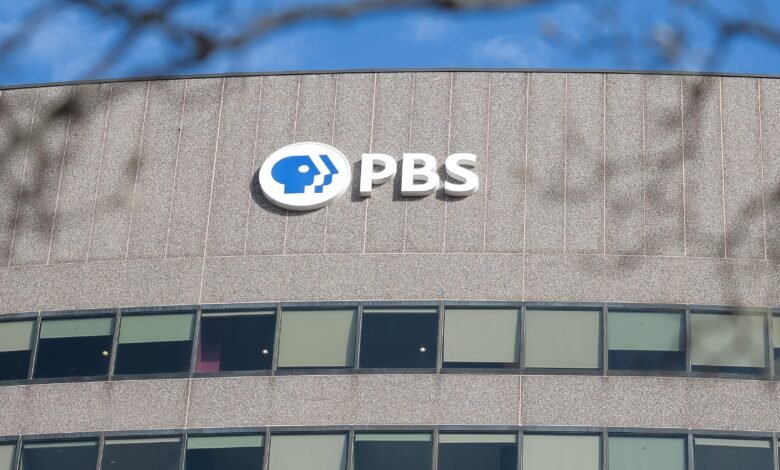 ¿PBS se está bajando? ¿Qué dice la corporación para la transmisión pública – Hollywood Life ¿PBS se está bajando? ¿Qué dice la corporación para la transmisión pública – Hollywood Life