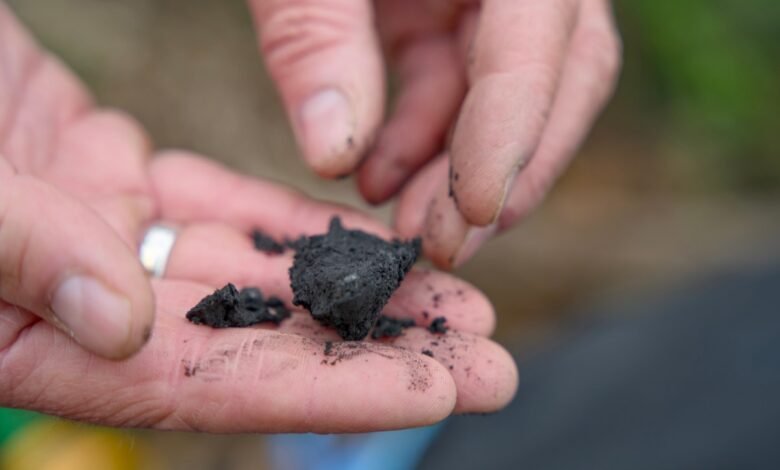 Terraton quiere ser el McDonald’s de Biochar