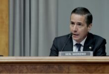 Los legisladores del Partido Republicano presionan las tarifas adaptadas para ayudar a las empresas en estado de origen