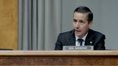 Los legisladores del Partido Republicano presionan las tarifas adaptadas para ayudar a las empresas en estado de origen