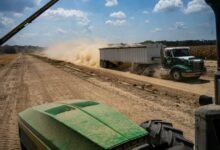 Los futuros de maíz y soja ganan una fuerte demanda de exportación