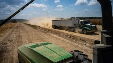 Los futuros de maíz y soja ganan una fuerte demanda de exportación