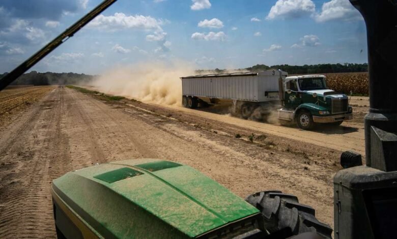 Los futuros de maíz y soja ganan una fuerte demanda de exportación