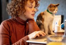 ¿Quiere quedarse con Windows 10 después de octubre de 2025? Estas son sus opciones, incluyendo cómo obtener un año gratuito de soporte adicional