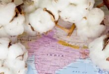India acepta la certificación global para exportaciones textiles orgánicas.