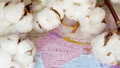 India acepta la certificación global para exportaciones textiles orgánicas.