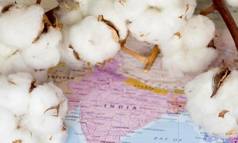 India acepta la certificación global para exportaciones textiles orgánicas.
