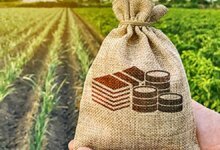 Es necesario aumentar la investigación y la inversión en desarrollo para fortalecer Agri: ICAR DG.