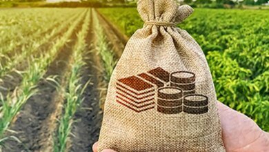 Es necesario aumentar la investigación y la inversión en desarrollo para fortalecer Agri: ICAR DG.