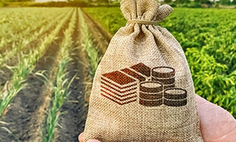 Es necesario aumentar la investigación y la inversión en desarrollo para fortalecer Agri: ICAR DG. Es necesario aumentar la investigación y la inversión en desarrollo para fortalecer Agri: ICAR DG.