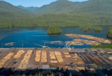 Canadá planea subvenciones para compensar las tareas de madera estadounidense