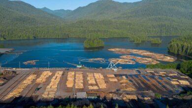 Canadá planea subvenciones para compensar las tareas de madera estadounidense