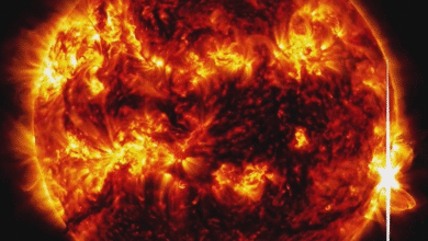 La nueva y audaz IA de IBM y la NASA predice bengalas solares que podrían aplastar satélites, destripar redes y arruinar la tecnología global