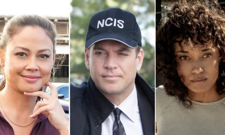 Historia de citas del universo NCIS: los actores aman vidas, spinfos Historia de citas del universo NCIS: los actores aman vidas, spinfos