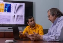 Las reglas destruyen pero no la onda: plasmones en el material relacionado