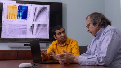 Las reglas destruyen pero no la onda: plasmones en el material relacionado
