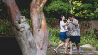 El Park Chan-wook tiene reseñas de la nueva foto