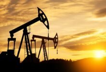 El Parlamento de Nueva Zelanda revoca la prohibición de los recursos petroleros.