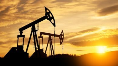 El Parlamento de Nueva Zelanda revoca la prohibición de los recursos petroleros.
