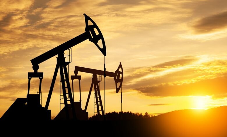 El Parlamento de Nueva Zelanda revoca la prohibición de los recursos petroleros. El Parlamento de Nueva Zelanda revoca la prohibición de los recursos petroleros.