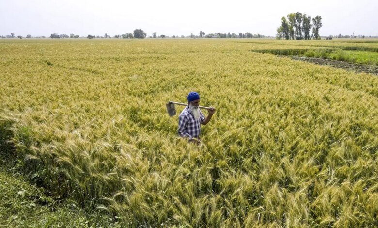 India necesita una acción puntiaguda de la ASEAN para mejorar el uso de acuerdos de libre comercio para el examen final de pierna. India necesita una acción puntiaguda de la ASEAN para mejorar el uso de acuerdos de libre comercio para el examen final de pierna.