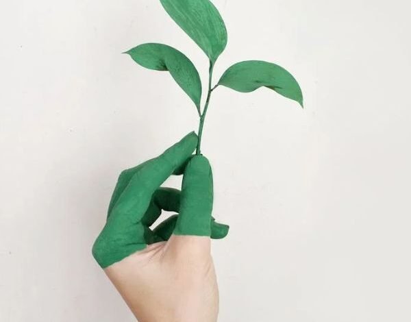 El surgimiento de dispositivos portátiles de plantas en papel