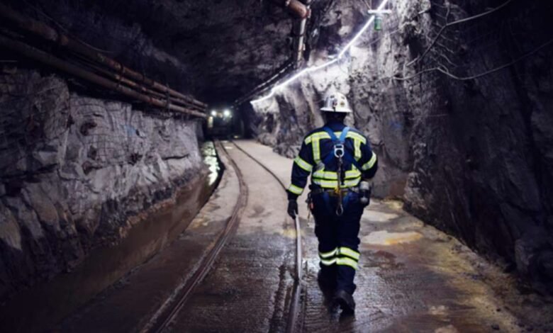 Trump aumenta el proyecto de cobre con los CEOs Trump aumenta el proyecto de cobre con los CEOs