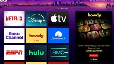 La nueva transmisión sin anuncios de Roku está subterráneamente Netflix, con una captura