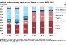 Las exportaciones de petróleo de Rusia han disminuido modestamente desde 2022, cambiando hacia Asia