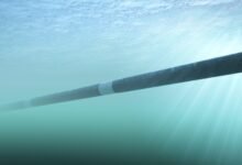 El caso de negocios de Marinus advierte sobre el costo “muy grande” para la industria a medida que federal de garrapatas verdes sella su destino