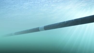 El caso de negocios de Marinus advierte sobre el costo “muy grande” para la industria a medida que federal de garrapatas verdes sella su destino