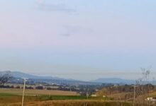 Los residentes de Hunter Valley quieren volver a ver a Sunsets, no una planta de carbón reiniciada como un “incinerador de madera”