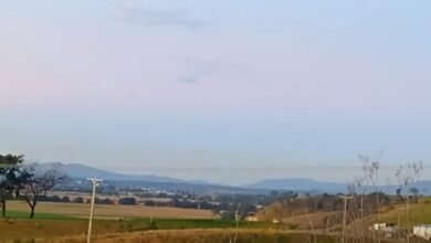 Los residentes de Hunter Valley quieren volver a ver a Sunsets, no una planta de carbón reiniciada como un “incinerador de madera”