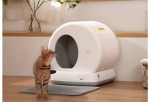 Cómo mantener su caja de arena automática sin esfuerzo