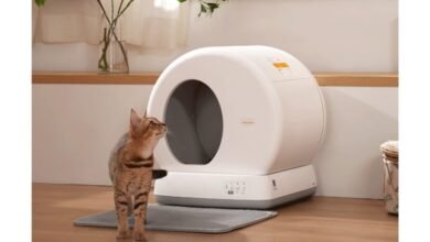 Cómo mantener su caja de arena automática sin esfuerzo