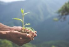 Prácticas sostenibles de la cadena de suministro en el plomo: construir un futuro responsable