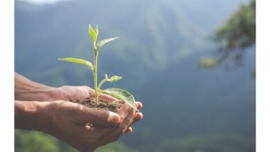 Prácticas sostenibles de la cadena de suministro en el plomo: construir un futuro responsable