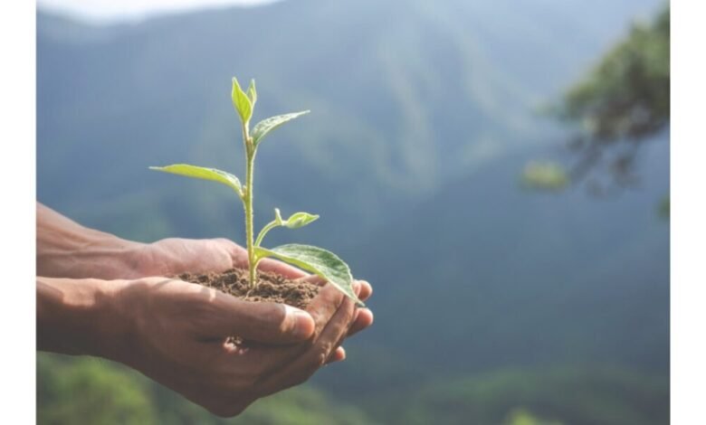Prácticas sostenibles de la cadena de suministro en el plomo: construir un futuro responsable Prácticas sostenibles de la cadena de suministro en el plomo: construir un futuro responsable